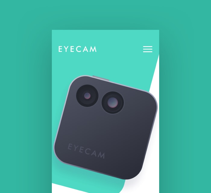 Eyecam image